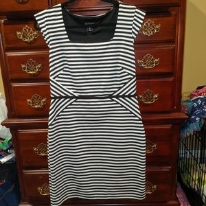 Enfocus Business Casual Dress